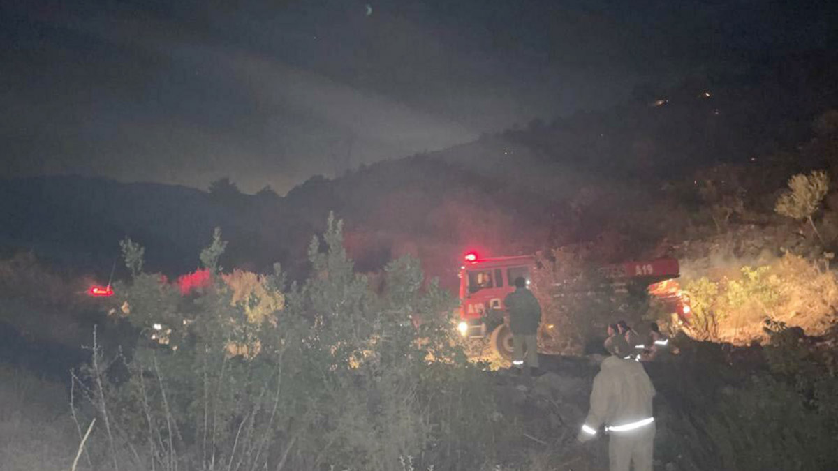 Torbalı'da makilik yangını kontrol altına alındı