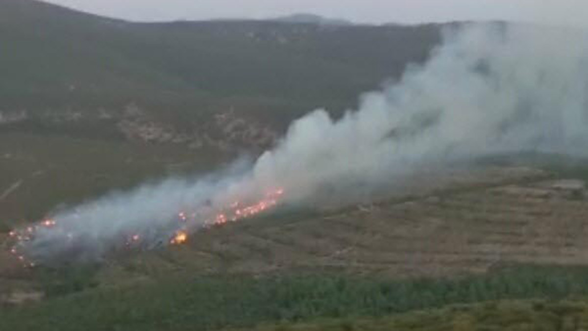 Torbalı'da makilik yangını kontrol altına alındı