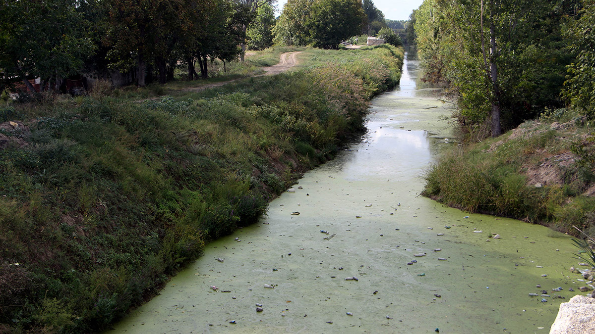 Bayır Deresi atıklarla çöplüğe döndü