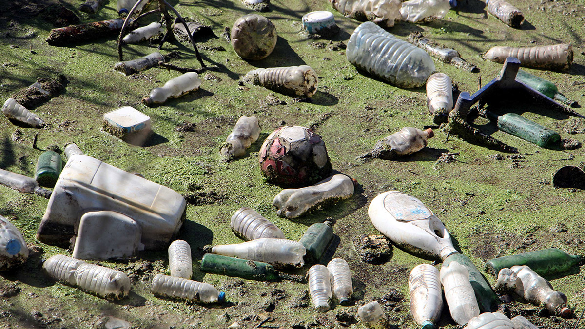 Bayır Deresi atıklarla çöplüğe döndü