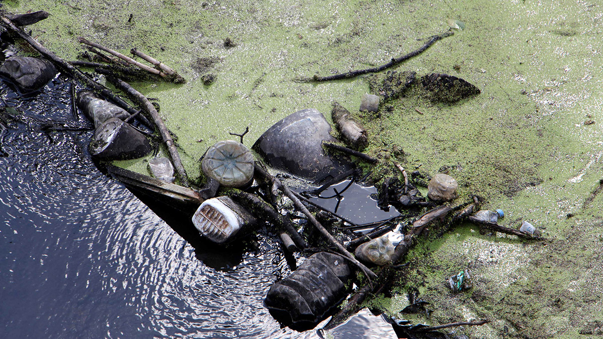Edirne'de Tunca Nehri debisinin düşmesiyle otlarla kaplanırken, Bayır Deresi atıklarla çöplüğe döndü.
