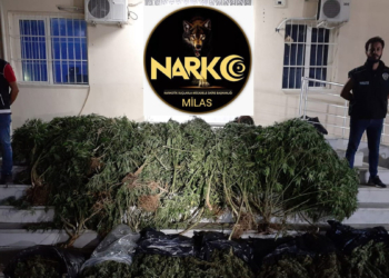 Turizmci çift uyuşturucu operasyonunda gözaltına alındı