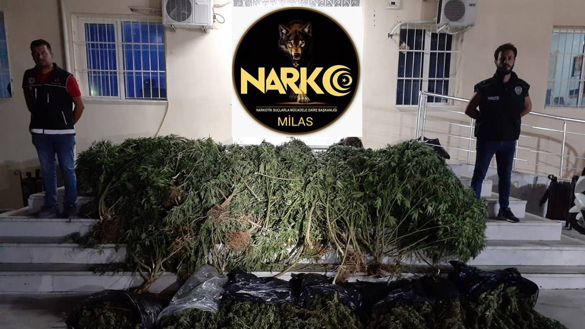 Turizmci çift uyuşturucu operasyonunda gözaltına alındı