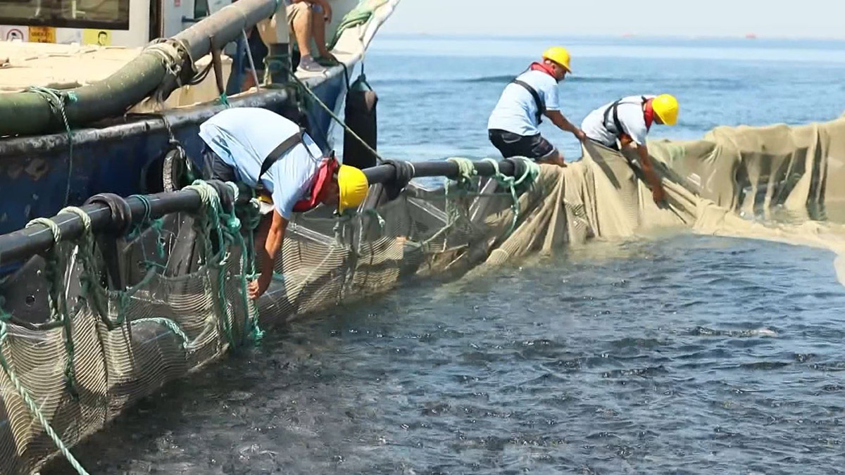 Türkiye su ürünleri üretiminde 1. sırada