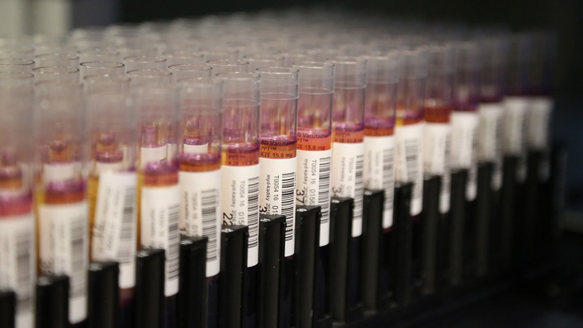 Kemik iliği bağışçılarına teşekkür