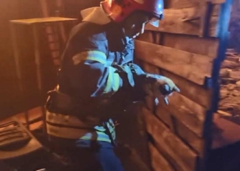 Füze saldırısında alevlerin arasından bir kedi kurtarıldı
