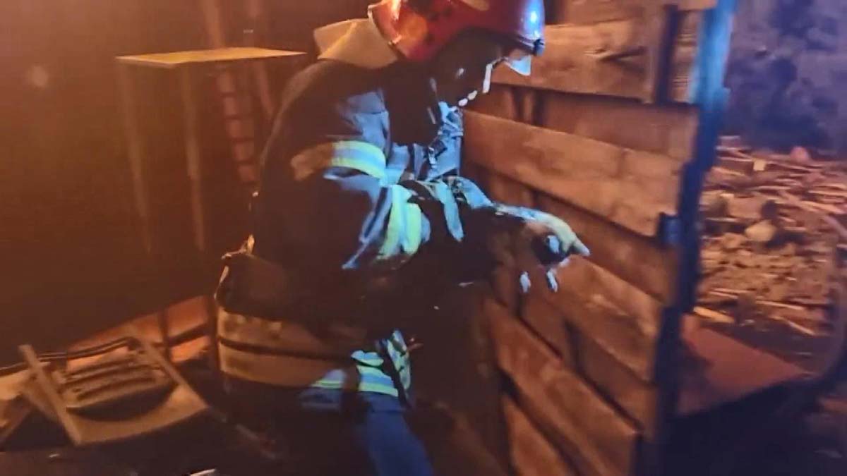 Füze saldırısında alevlerin arasından bir kedi kurtarıldı