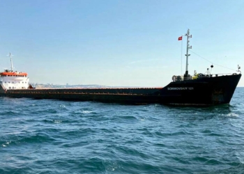 Tahıl yüklü 12 gemi yola çıktı