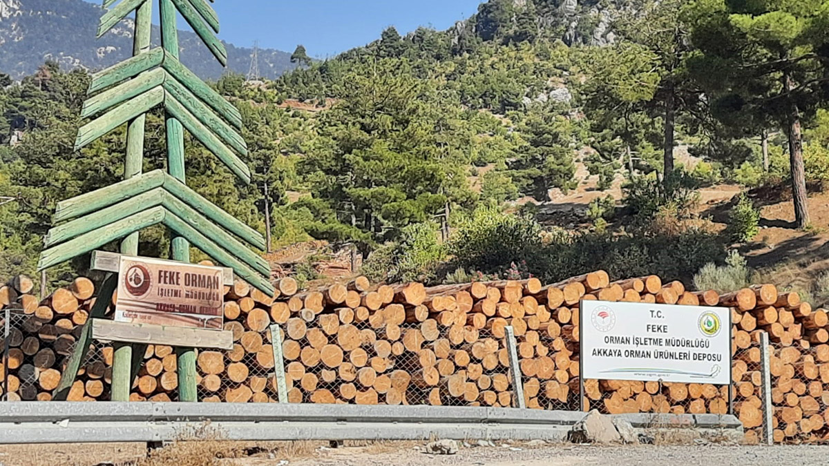 Üzerine tomruk devrilen orman işçisi hayatını kaybetti