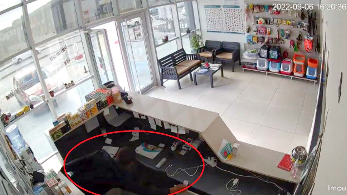 Veteriner kliniğinde hırsızlık