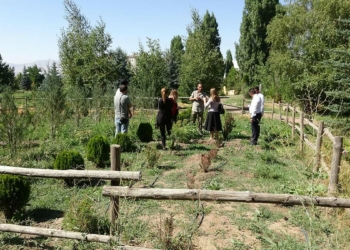 Yağmur suyunu depolayarak bahçe sulamasında kullandılar