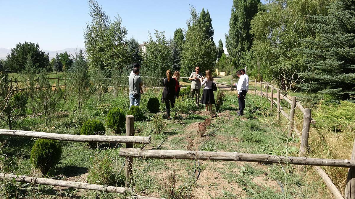 Yağmur suyunu depolayarak bahçe sulamasında kullandılar