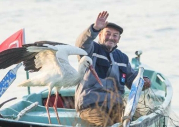Yaren leylek 3 yavrusuyla göç yolculuğuna başladı