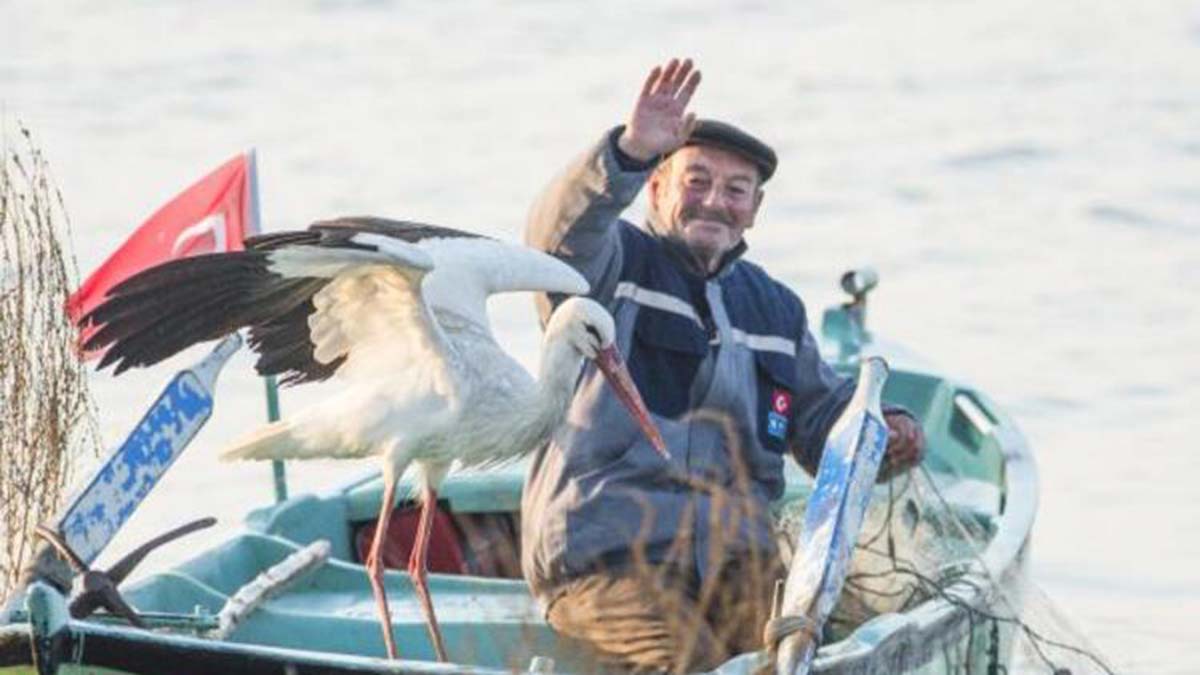 Yaren leylek 3 yavrusuyla göç yolculuğuna başladı