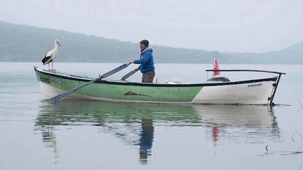 Yaren leylek 3 yavrusuyla göç yolculuğuna başladı