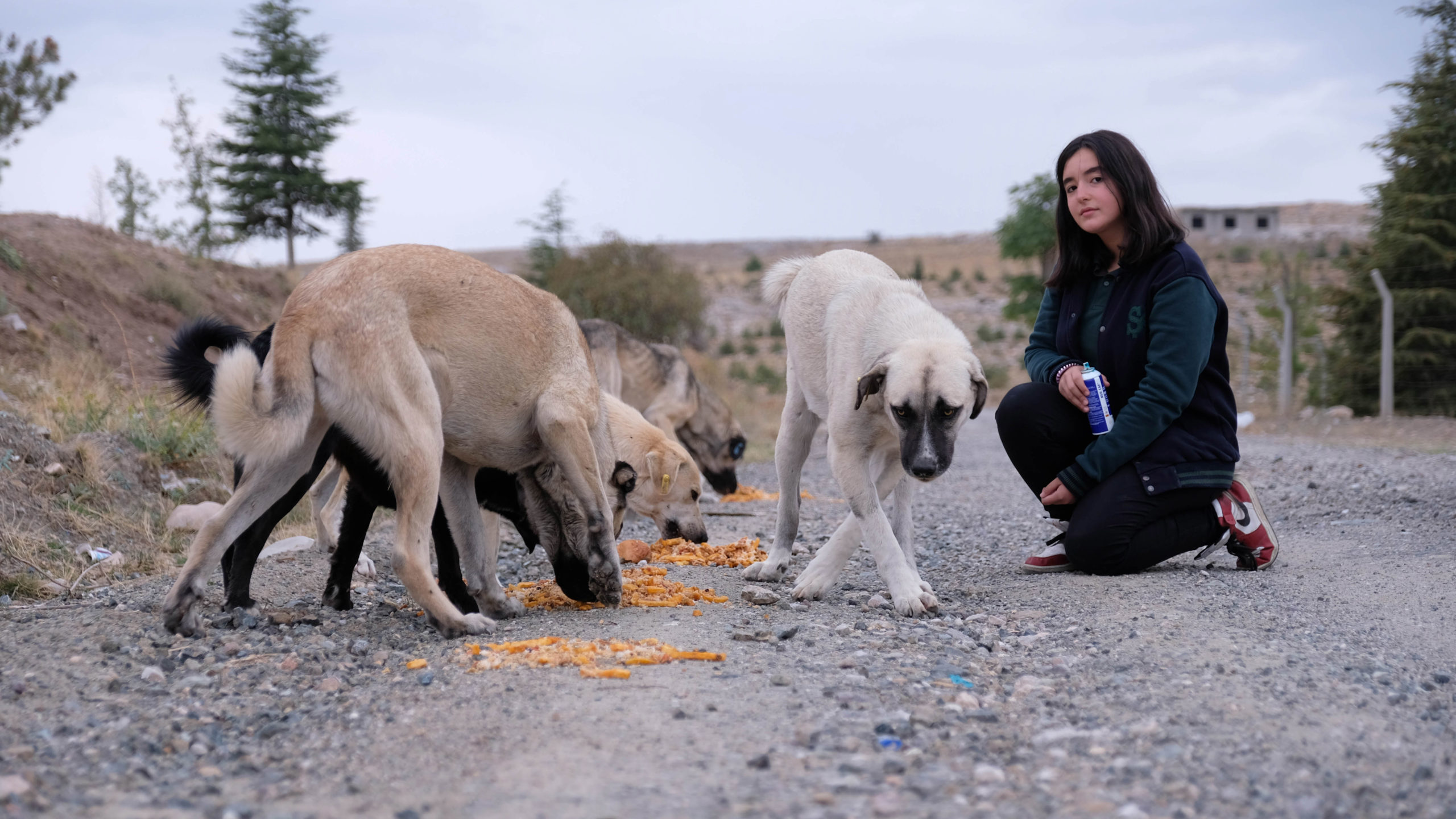 16 yaşındaki Hayat 150 hayvanı besliyor