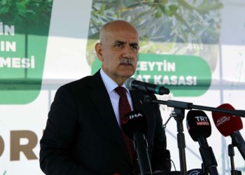 2023 yılı tarımsal desteği 54 milyar dolara çıktı