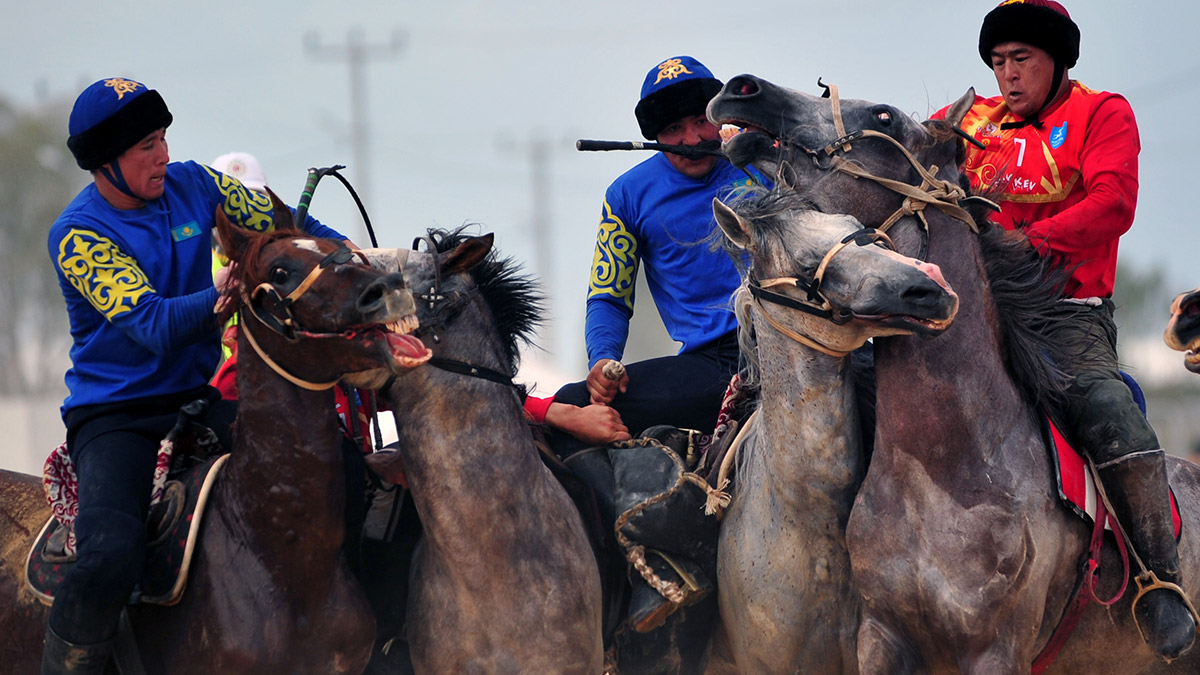Bursa’nın İznik ilçesinde düzenlenen 4'üncü Dünya Göçebe Oyunları'nın final günü Kazak güreşi, Tatar güreşi ve Kökbörü yarışlarıyla başladı.