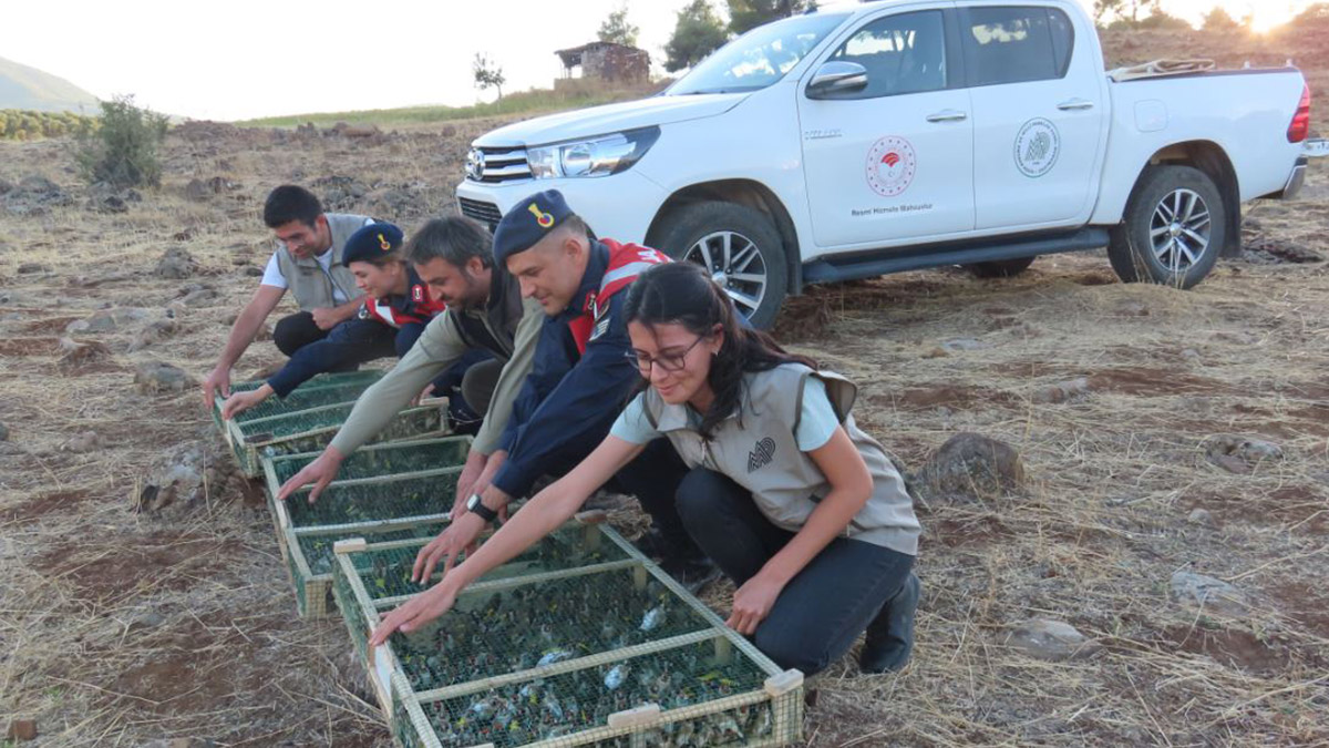 900 sakayı Suriye'ye kaçırmak isteyen kişi yakalandı