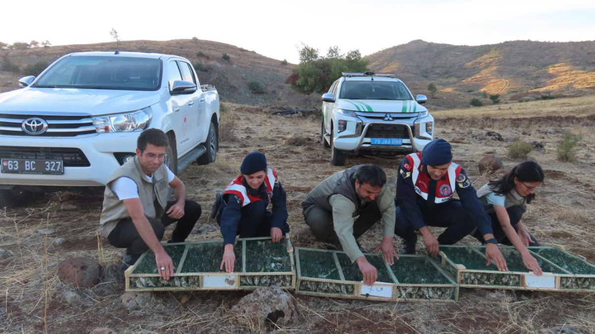 900 sakayı Suriye'ye kaçırmak isteyen kişi yakalandı