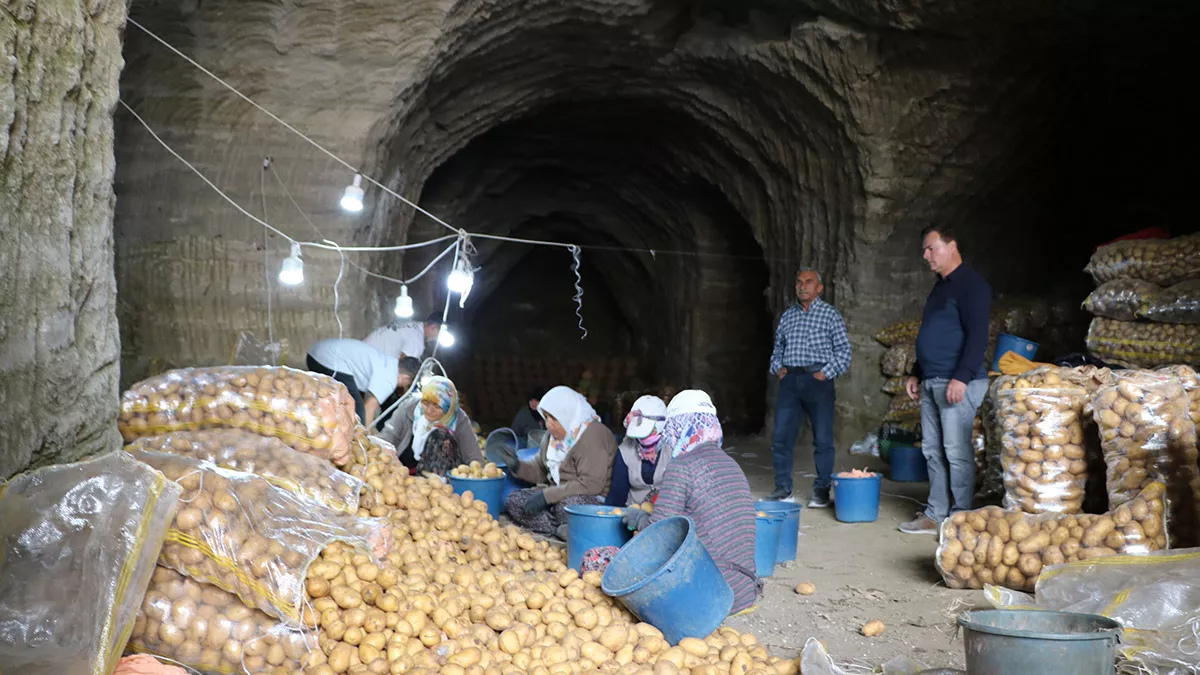 Afyonkarahisar'da patatesler mağaralarda saklanıyor