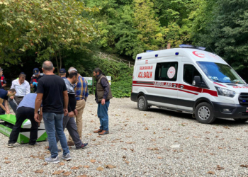 Ağaç devrilmesiyle 2 kişinin ölümüne soruşturma