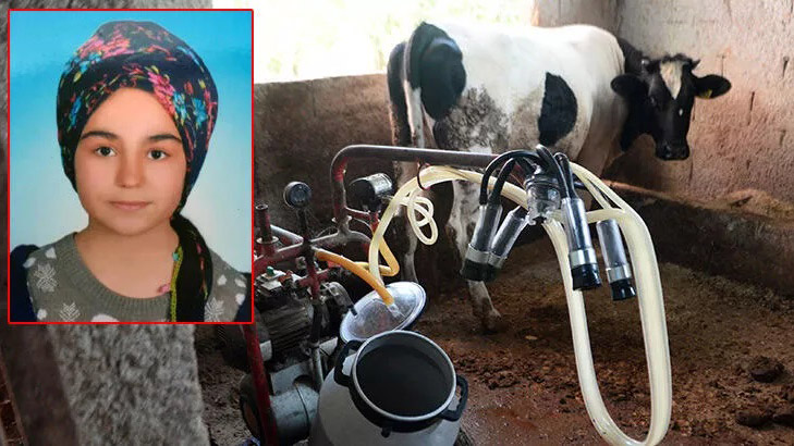 Ahırda akıma kapılan Nursel, hayatını kaybetti