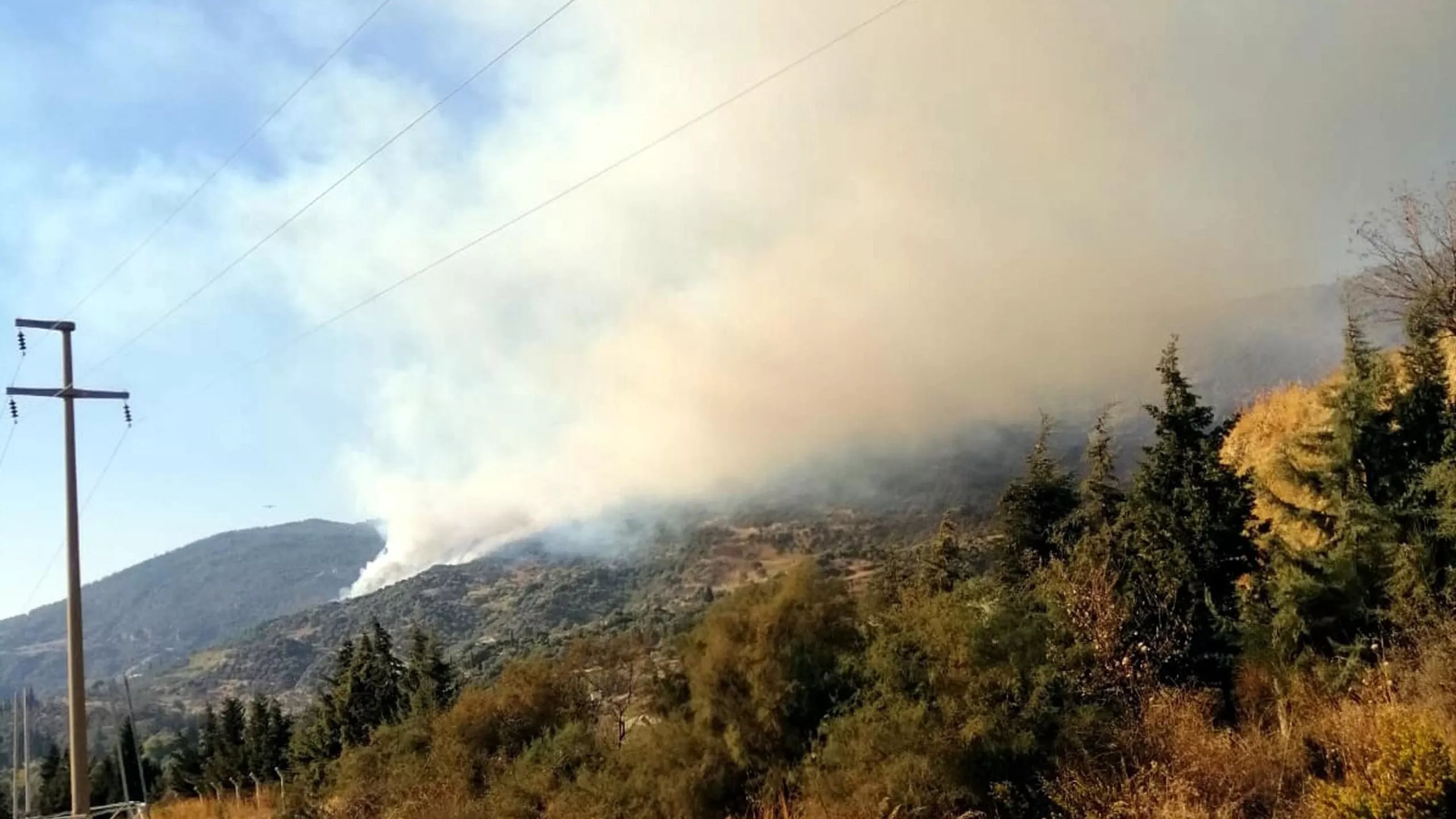 Aydın'da makilik yangını