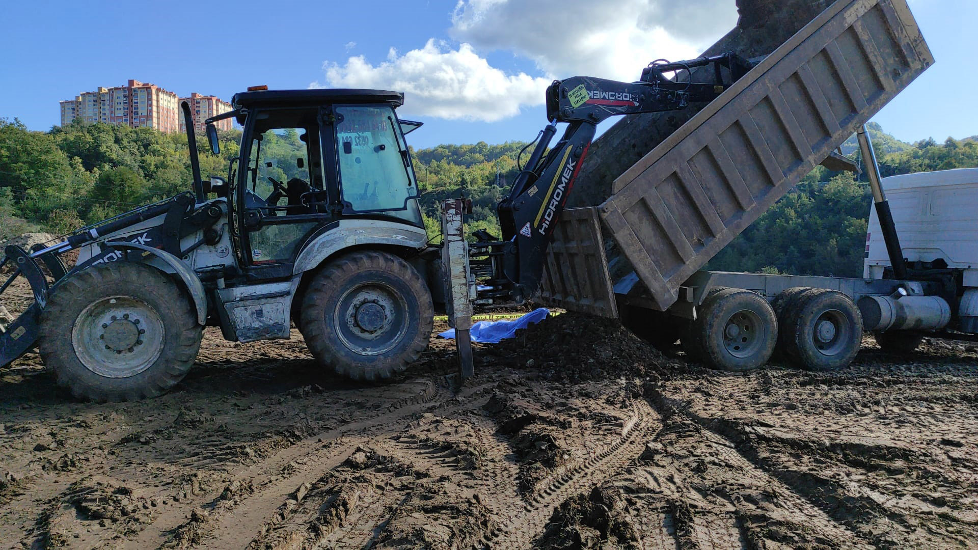 Başı damperin arka kapağına sıkışan şoför öldü
