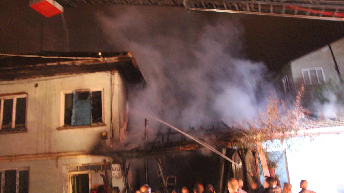 Bilecik'te yangın; onlarca süs tavuğu öldü