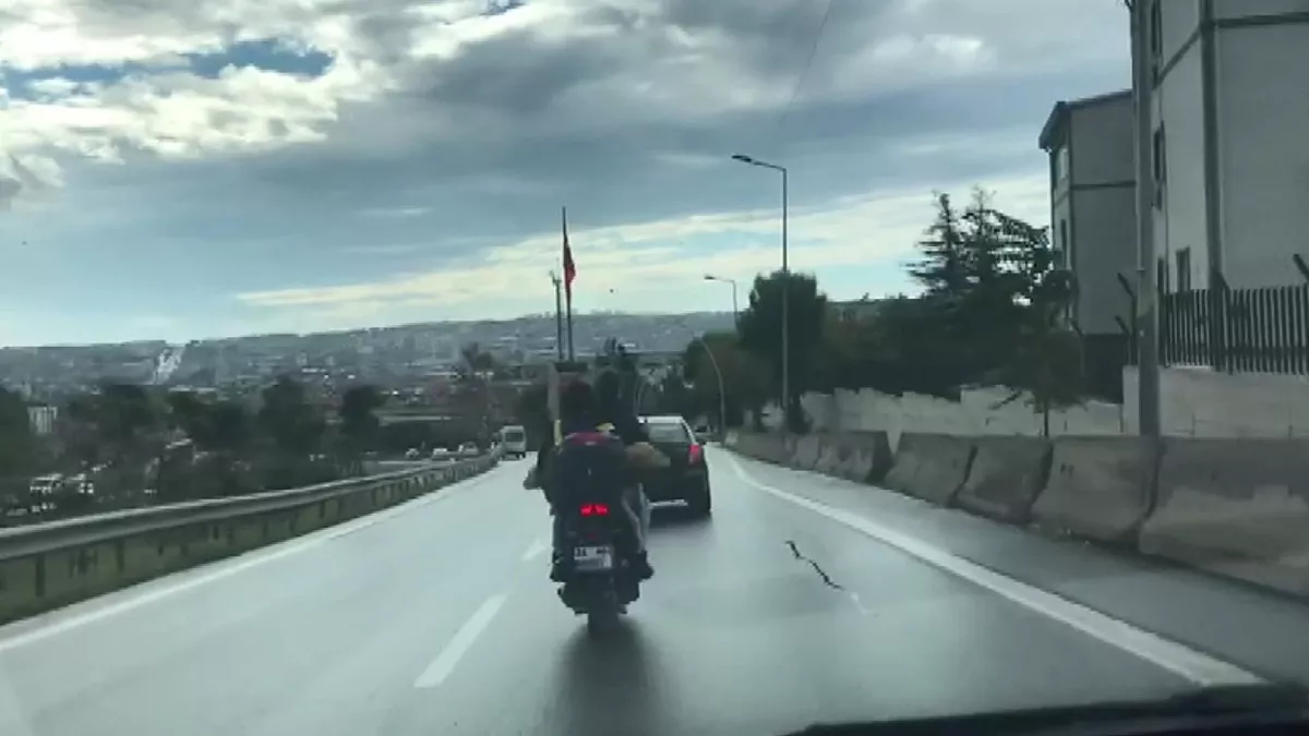 Bindikleri motosikletle köpek taşıdılar