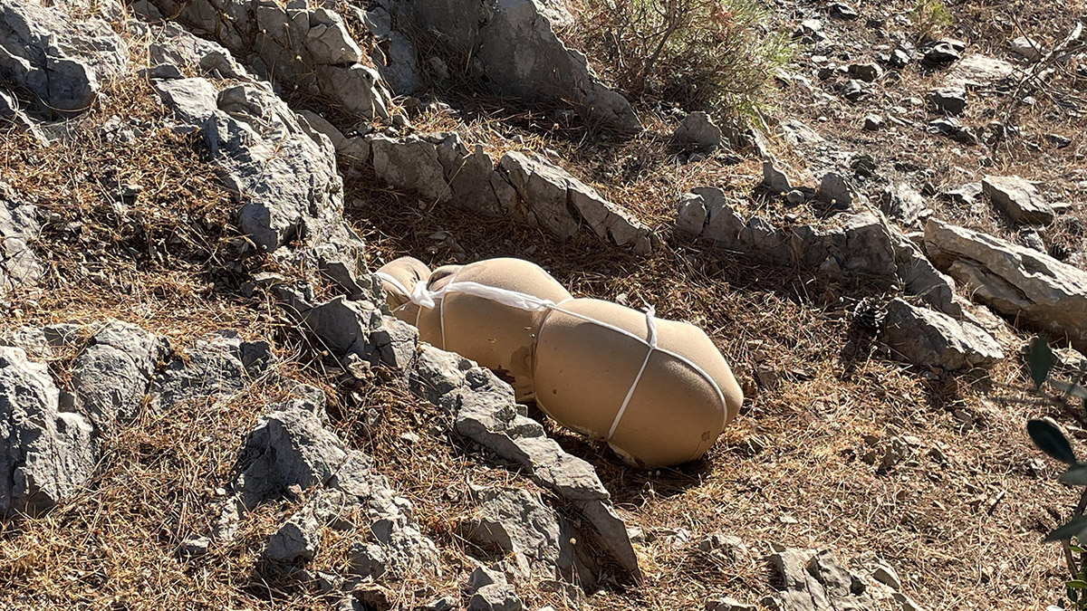 Bodrum'da çarşafa sarılı ölü köpek bulundu