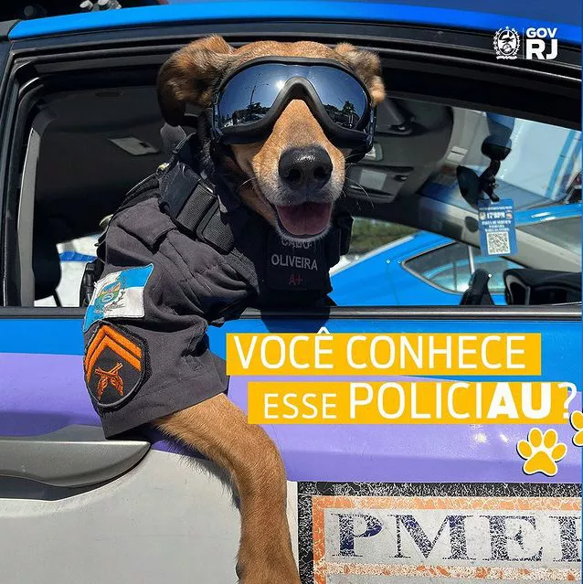 Brezilya polisinin kurtarma kopegi fenomen oldu - dış haberler - haberton