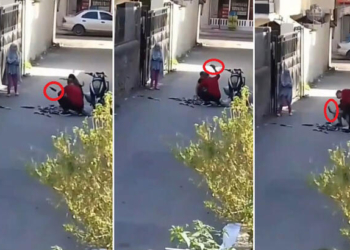 Canlı balıkları taşla ve yere vurarak öldürdüler