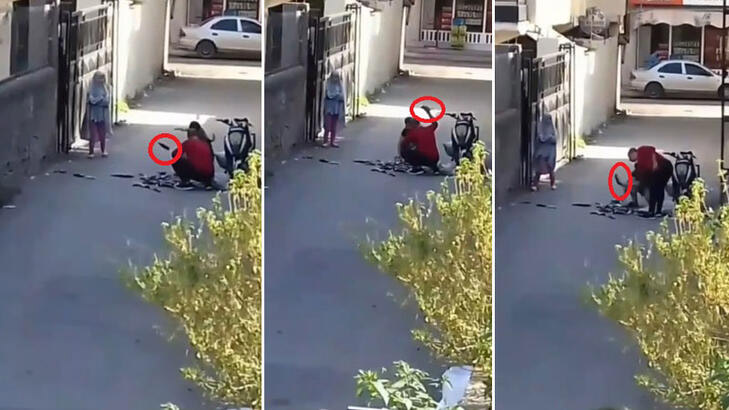 Canlı balıkları taşla ve yere vurarak öldürdüler