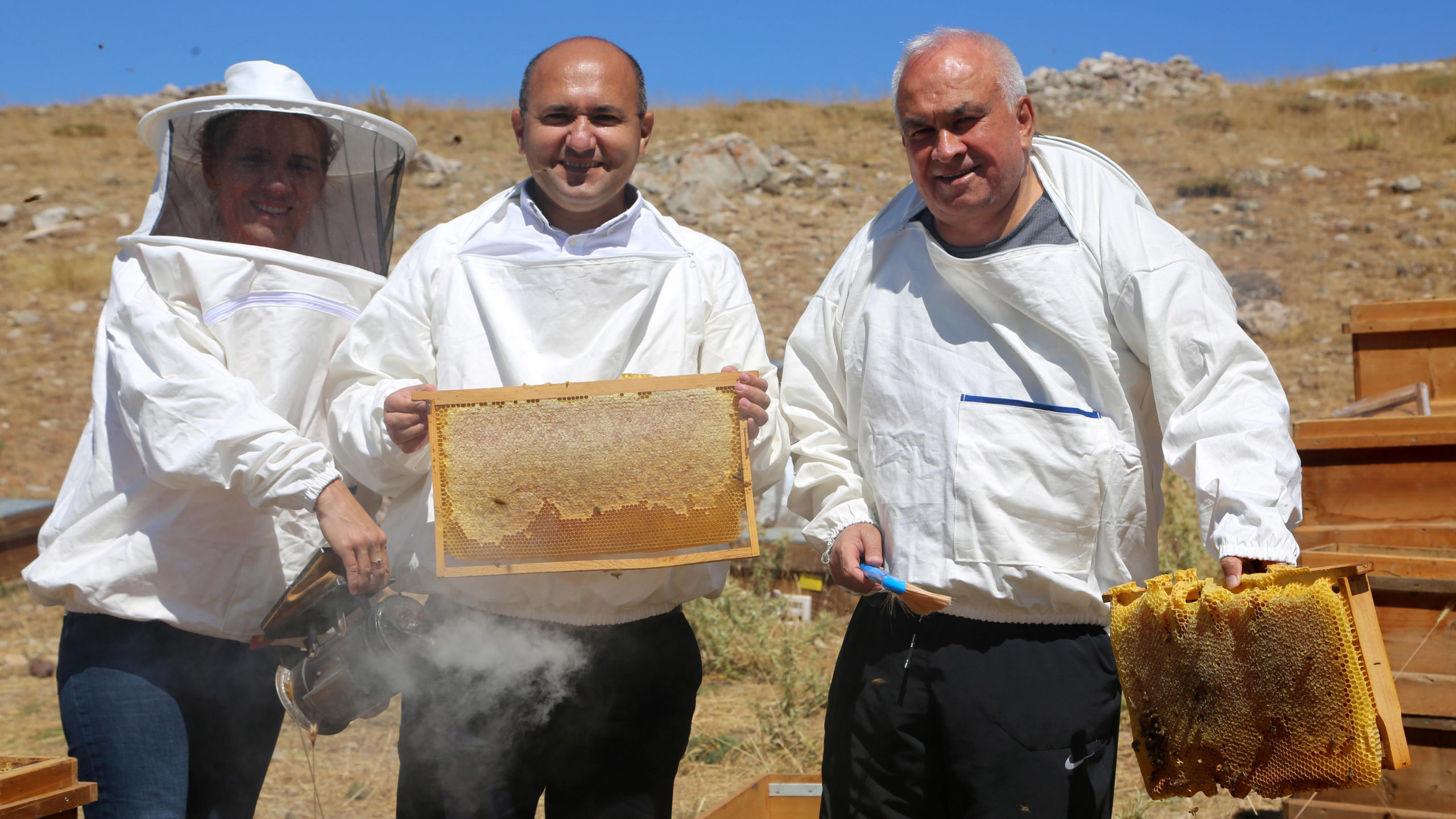 Eğriçayır balına ‘anti mikrobiyal’ tescili