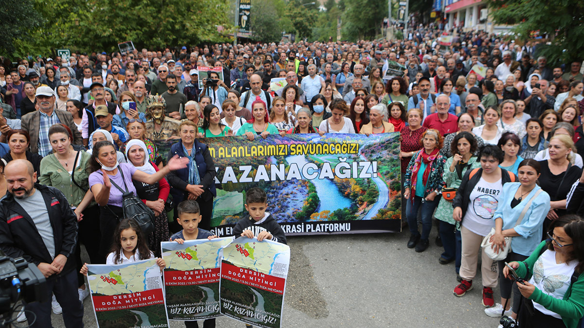 Emek ve Demokrasi Platformu'ndan yürüyüş