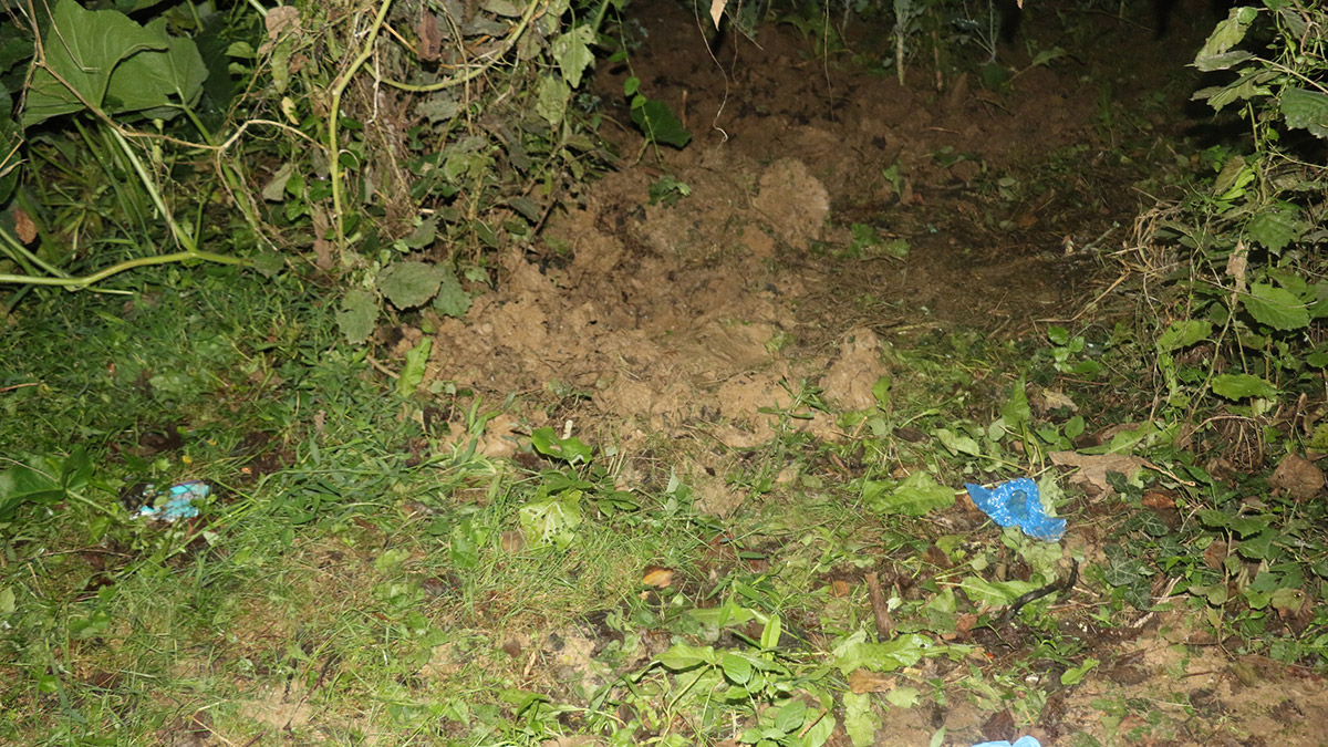 Fındık bahçesinde gömülü bebek cesedi bulundu