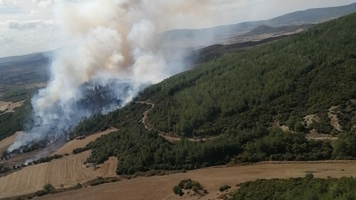 Gelibolu'da orman yangını