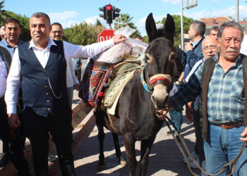 Güreş ağası, ağalık parasını katırla taşıdı