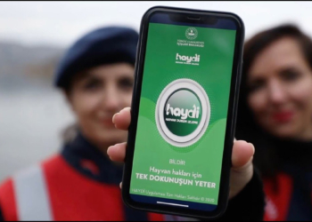 HAYDİ uygulamasını 2 yılda 227 bin kişi indirdi