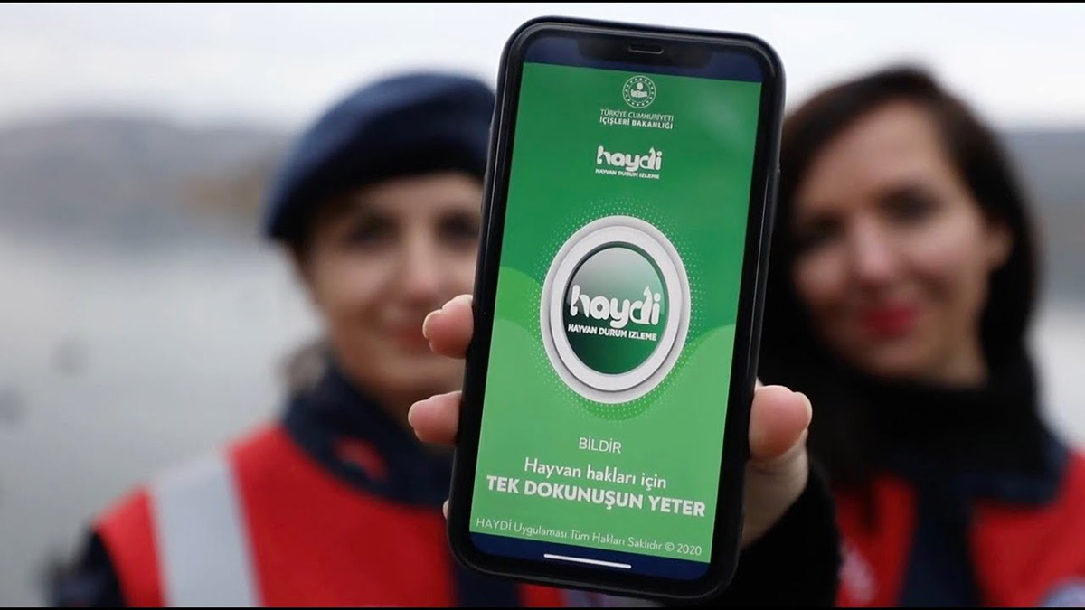 HAYDİ uygulamasını 2 yılda 227 bin kişi indirdi