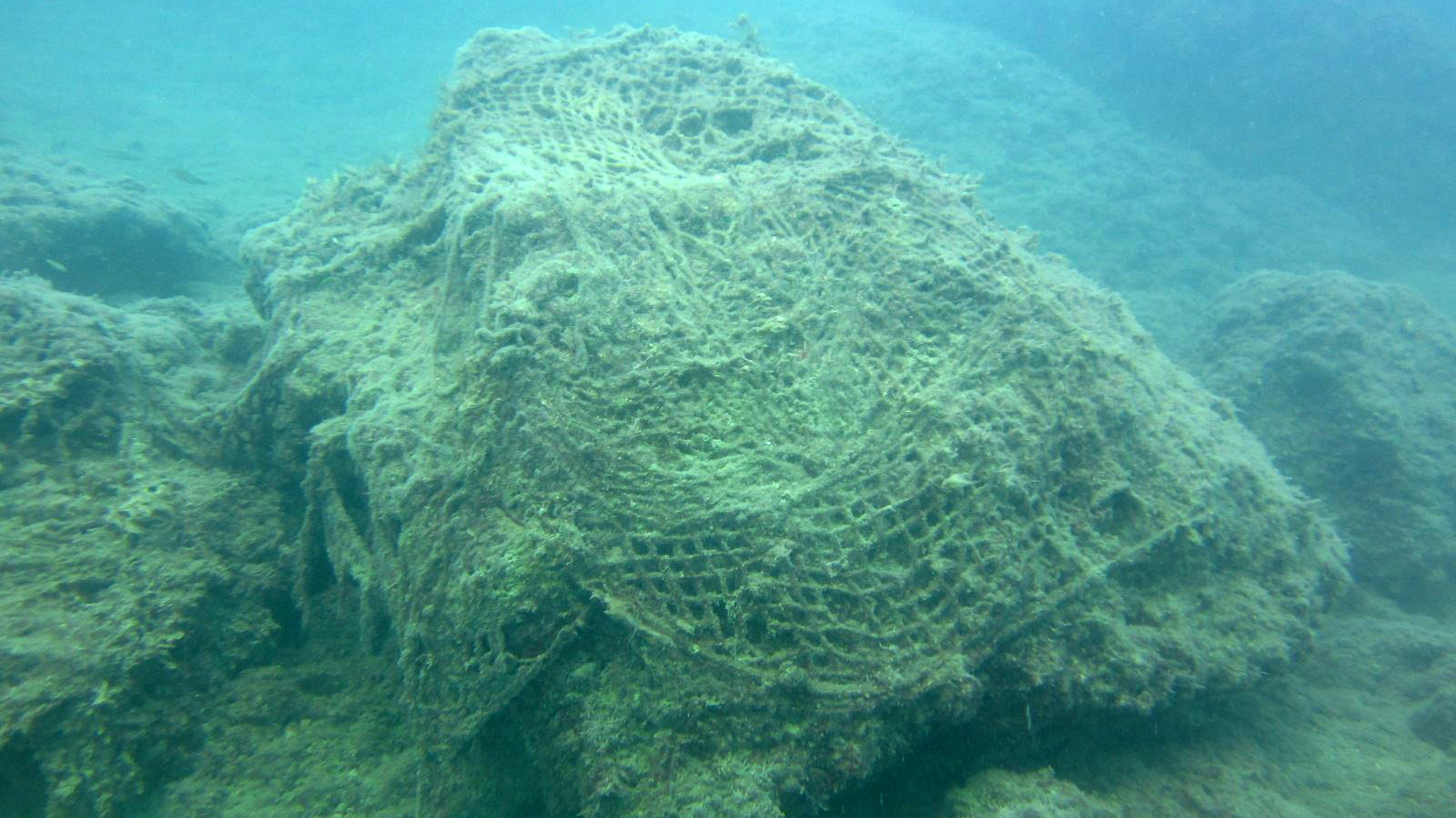 'Hayalet ağ'lar deniz ekosistemini tehdit ediyor