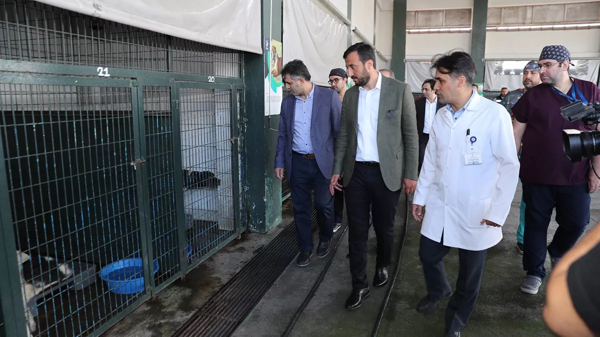 Hayvan barinma ve musahede merkezine ziyaret 2 - yerel haberler - haberton