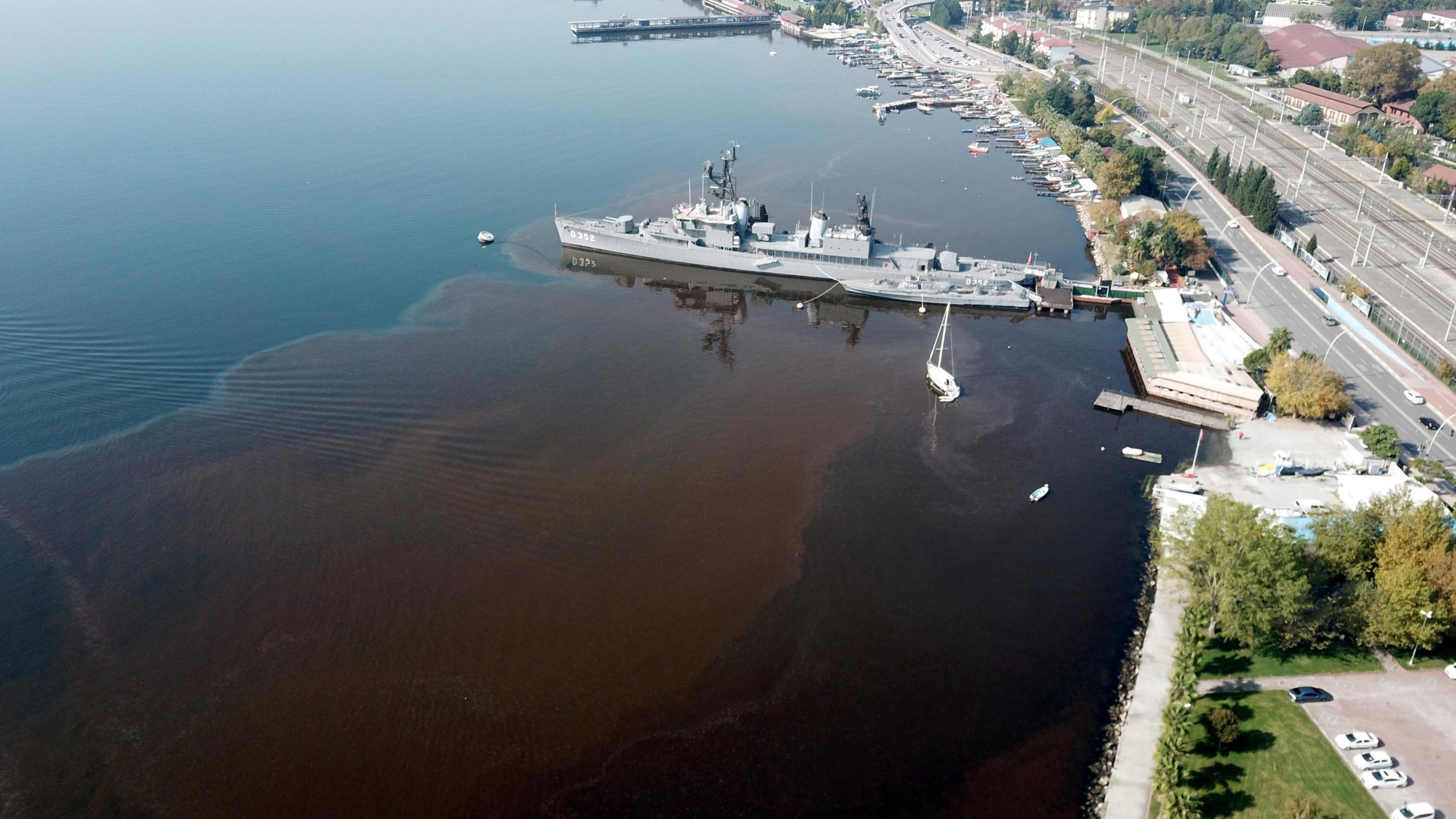 İzmit Körfezi alg çoğalmasıyla kahverengiye döndü