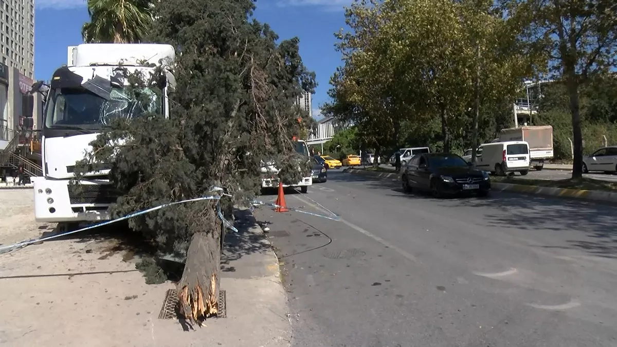 Kamyon önce ağaca ardından 4 otomobile çarptı