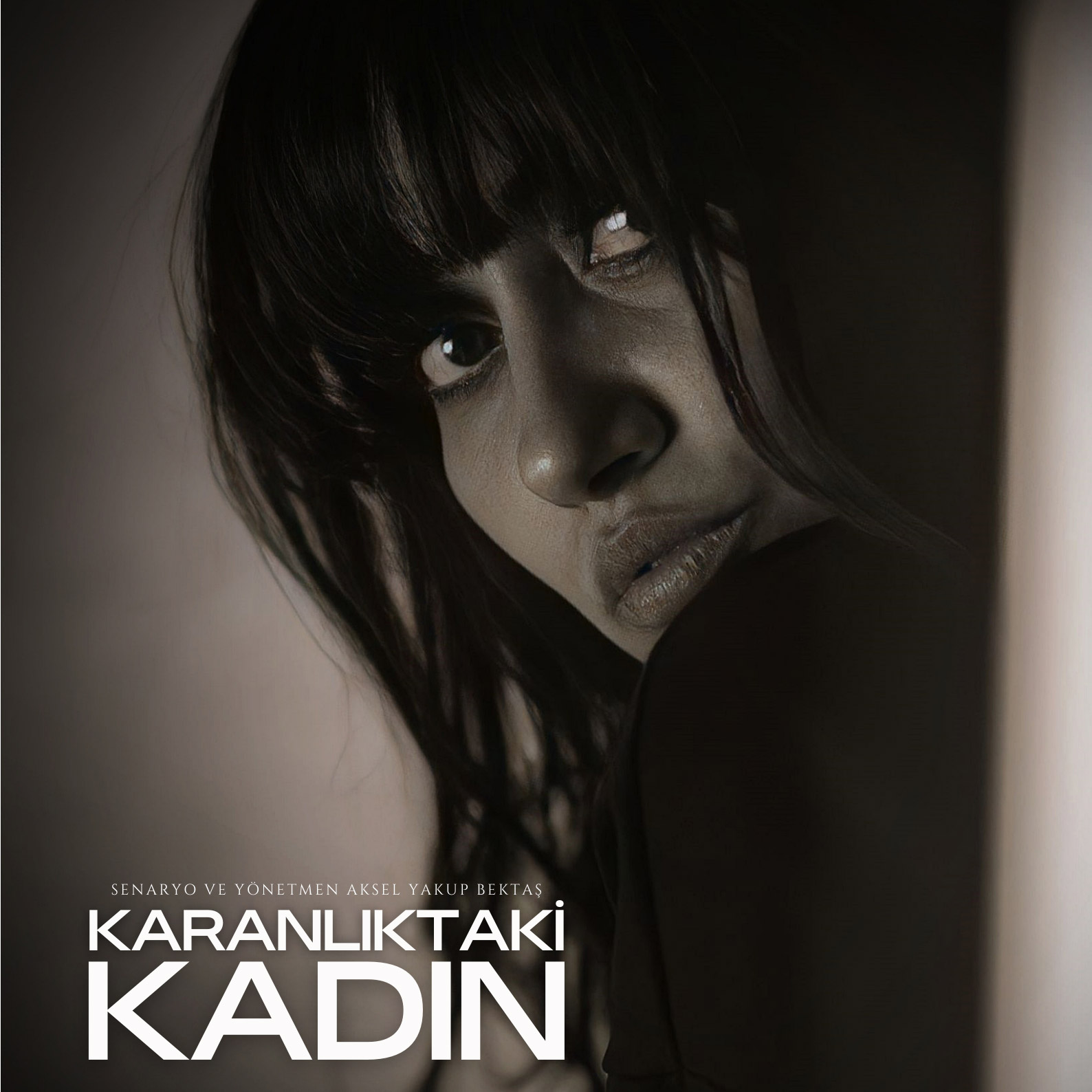 'Karanlıktaki Kadın' 2023'de film festivallerinde