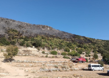 Kaş'taki makilik yangınında 10 hektar alan kül oldu