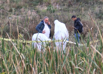 Maltepe'de arsada erkek cesedi bulundu