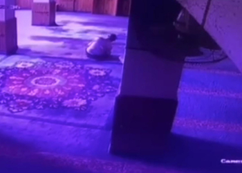 Namaz kılarken kalp krizinden öldü